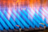 Ferndale gas fired boilers